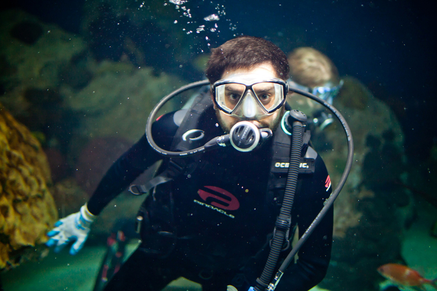 brian weitz of animal collective scuba dives at the national aquarium in baltimore.